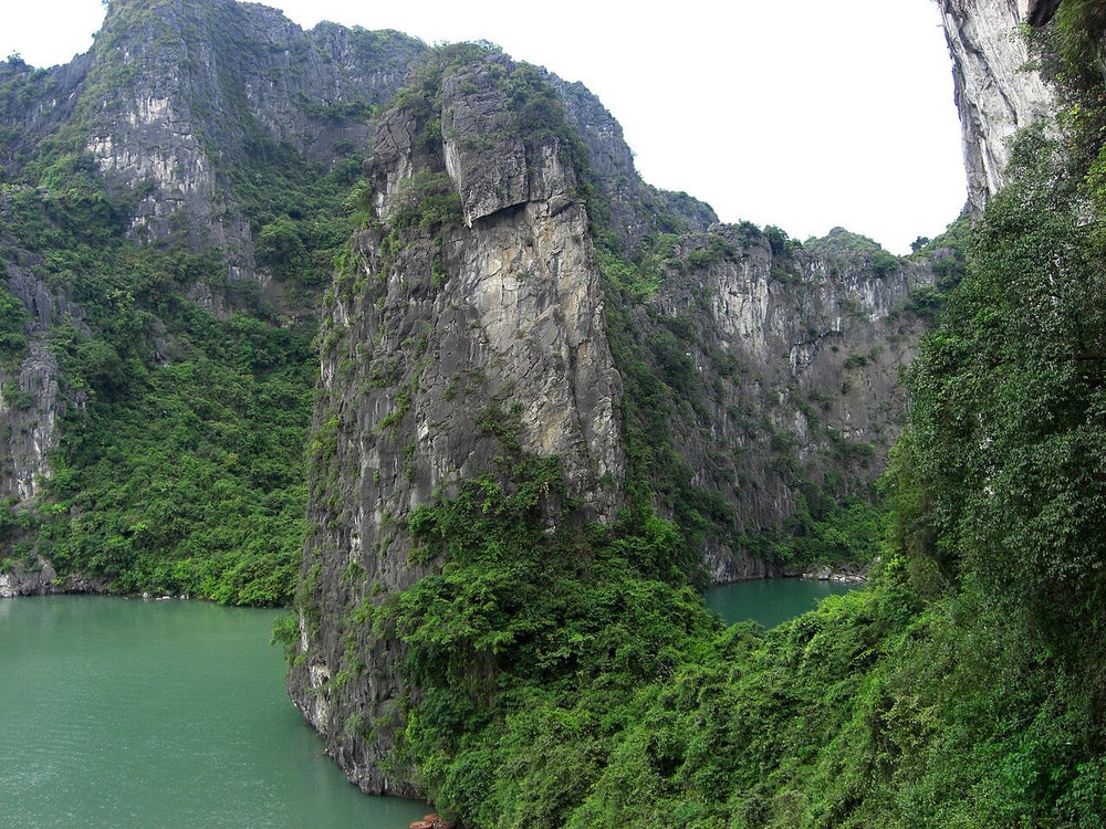 下龍灣海灣巡遊實景照片：Baie d'Halong
