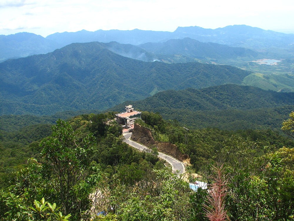 峴港巴拿山實景照片：Ba Na 01
