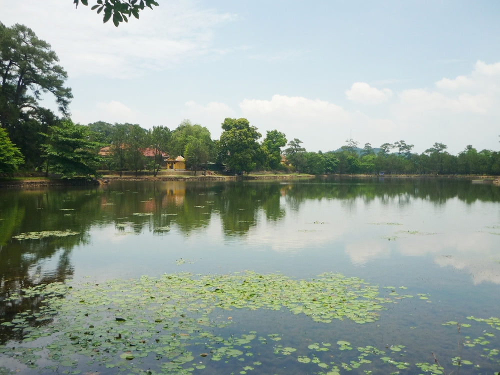 明命帝陵實景照片：Hồ nước trước Lăng Minh Mạng
