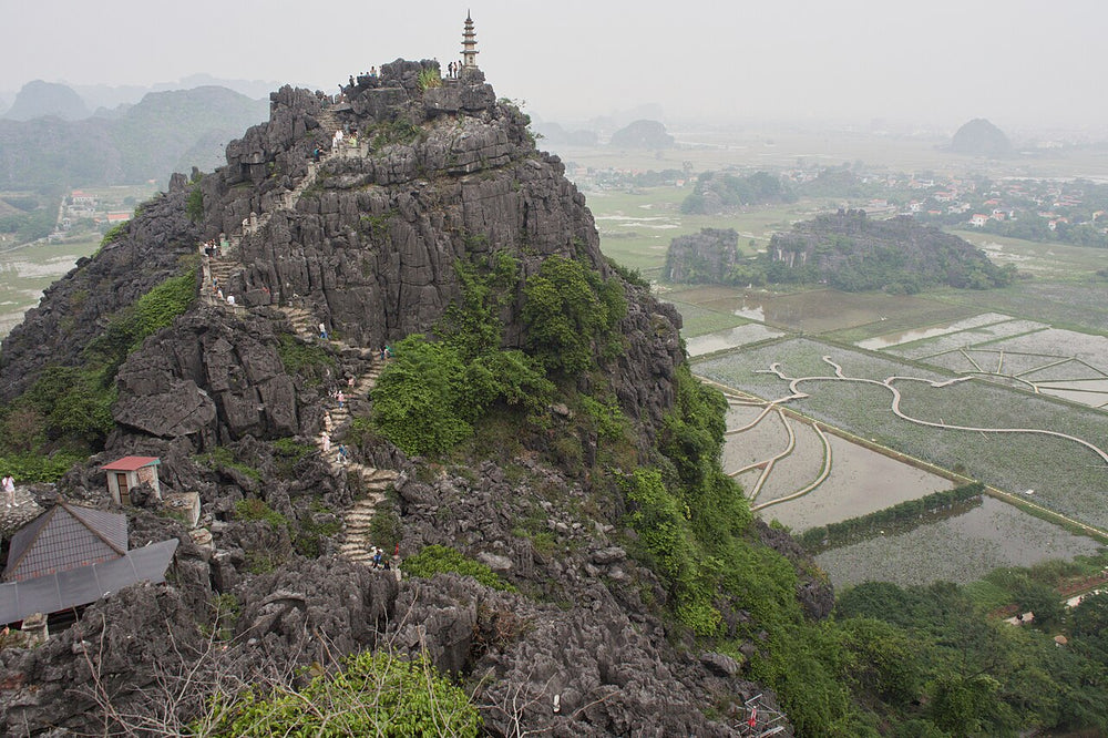 舞洞觀景山實景照片：Ninh Binh - NinhBinh1648