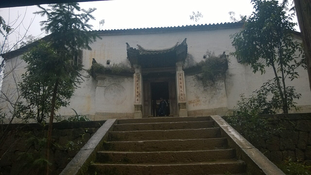 王氏宅邸入口與石階