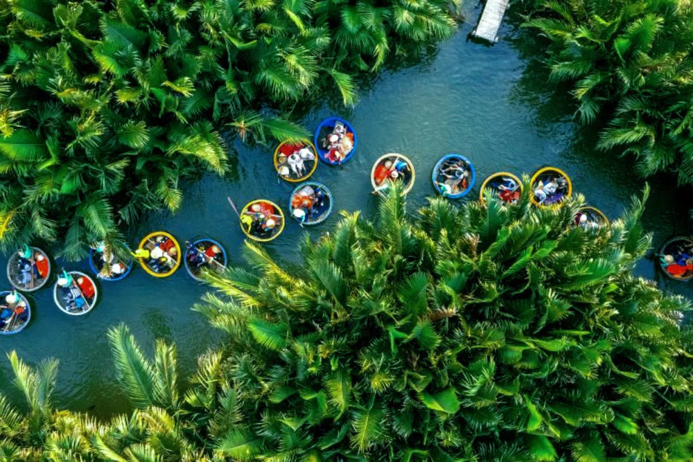 錦清水椰林的水道空拍景觀