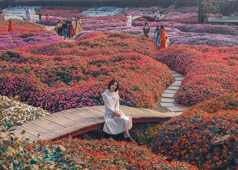 西湖花谷的花田散步景觀