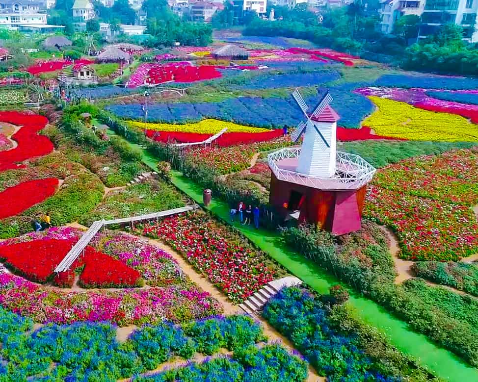 西湖花谷的園區造景與花田