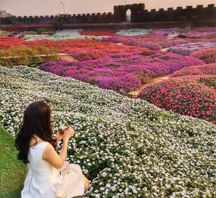 西湖花谷的季節花卉